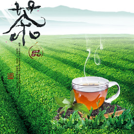 花茶 红茶 毛尖 西湖龙井