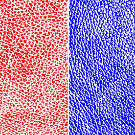 经典荔枝纹矢量图荔枝皮纹