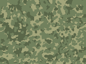 无缝迷彩 迷彩纹理 迷彩印花