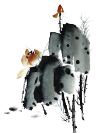 水墨菊花