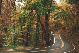 林间公路