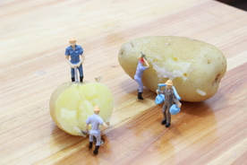 土豆小人