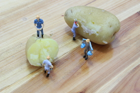 土豆小人