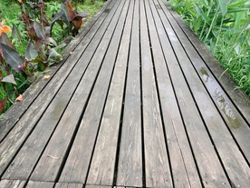 木板路