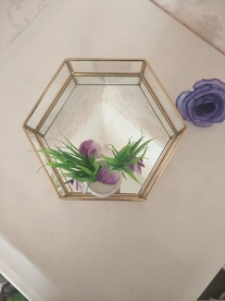 几何多边形玻璃花房摆件实拍图