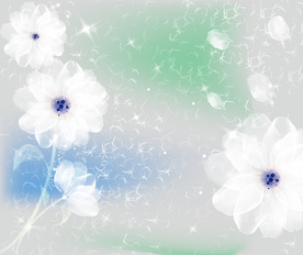 花朵透明花朵