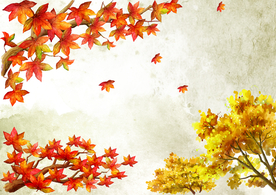 火红枫叶枫树金色背景墙壁画