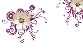 白百合线条花纹