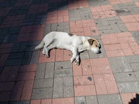 午后