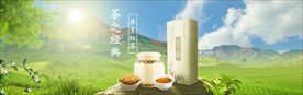 电商首页banner 海报