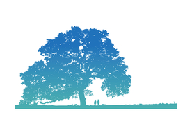 大树剪影