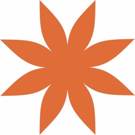 八瓣花