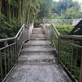 林间小路