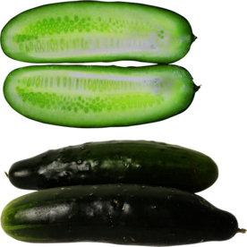 黄瓜