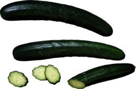 黄瓜