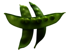 豌豆