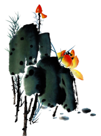 装饰素材