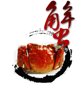 装饰素材
