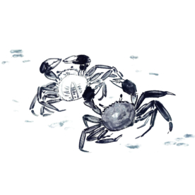 装饰素材