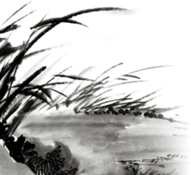 装饰素材
