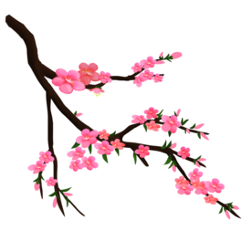 梅花素材