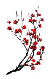梅花素材