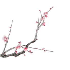 梅花素材
