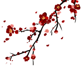 梅花素材