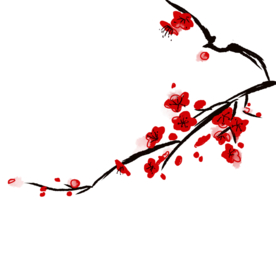 梅花素材