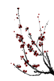 梅花素材
