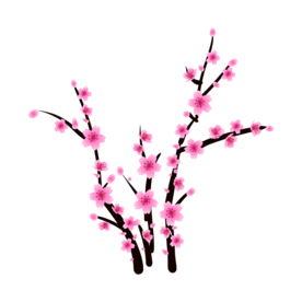 梅花素材