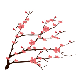 梅花素材