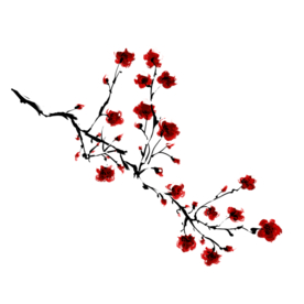 梅花素材