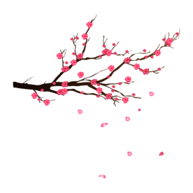 梅花素材