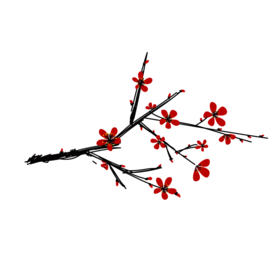 梅花素材