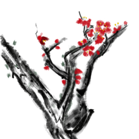 梅花素材