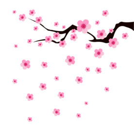 梅花素材