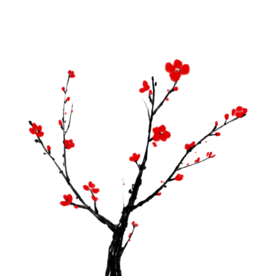 梅花素材