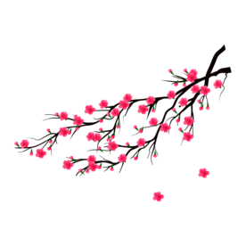 梅花素材