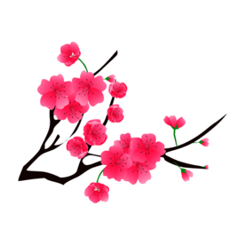 梅花素材