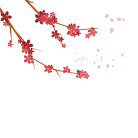 梅花素材