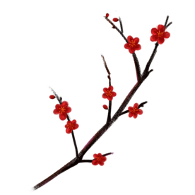 梅花素材
