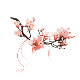 梅花素材