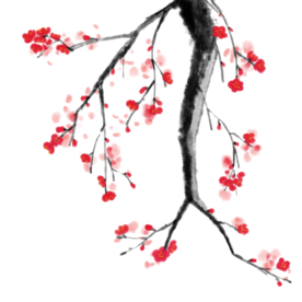 梅花素材