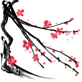 梅花素材