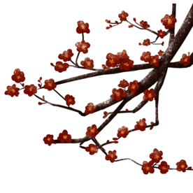 梅花素材