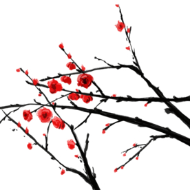 梅花素材