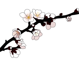 梅花树枝元素