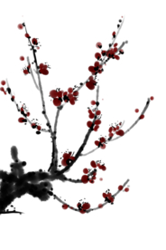 梅花树枝元素