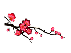 梅花树枝元素